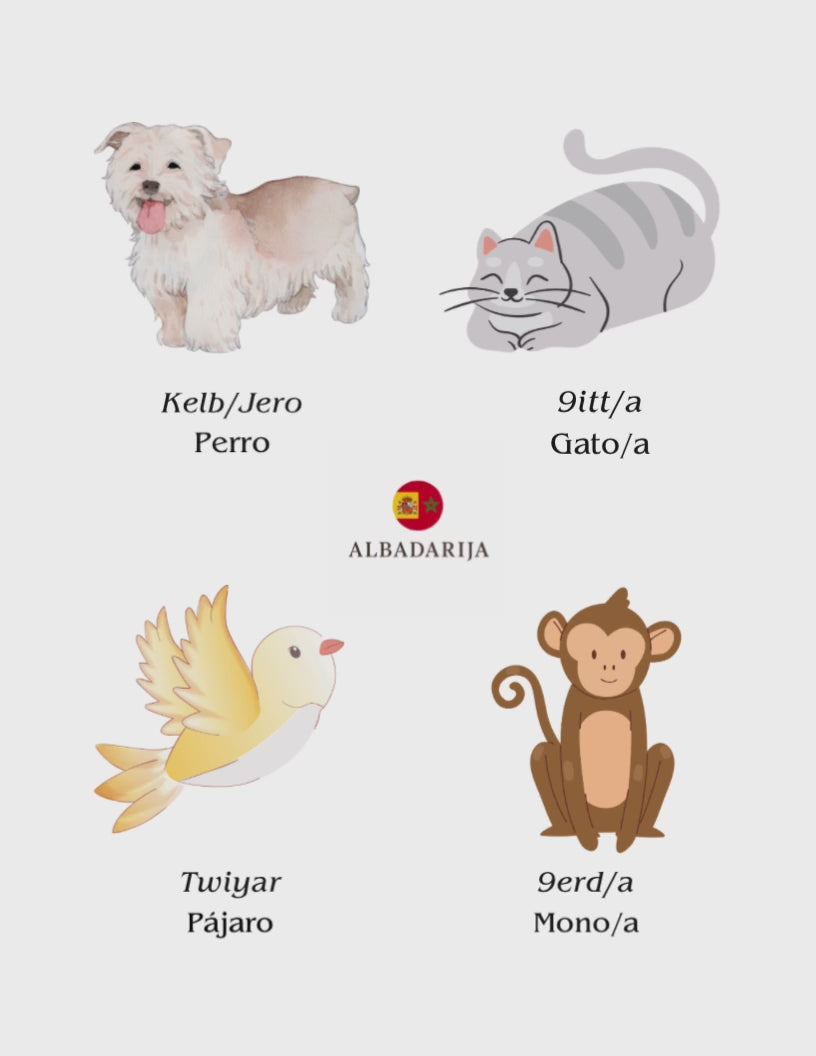 PDF FLASHCARD DARIJA GRATUITO